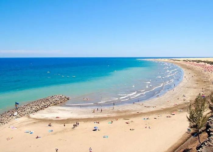 Playmar Pool By Wave *