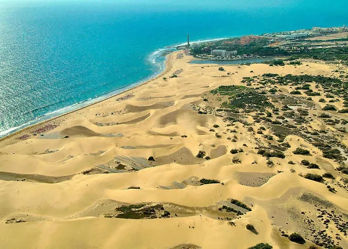 Playmar Pool By Wave Appartement